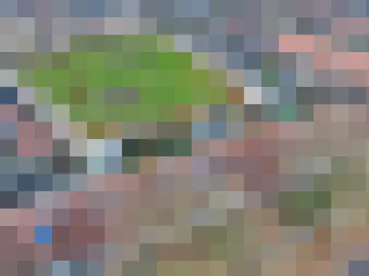 Hofveld 90 Apeldoorn thumbnail 24