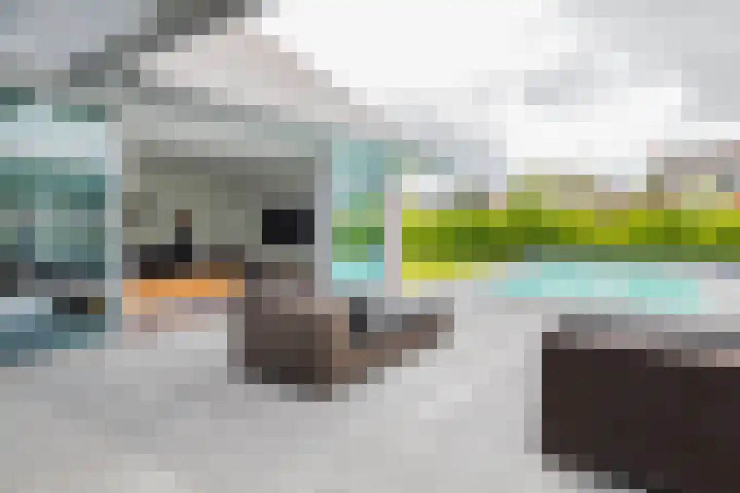 Hofvennepark 2 Noordwijk thumbnail 11