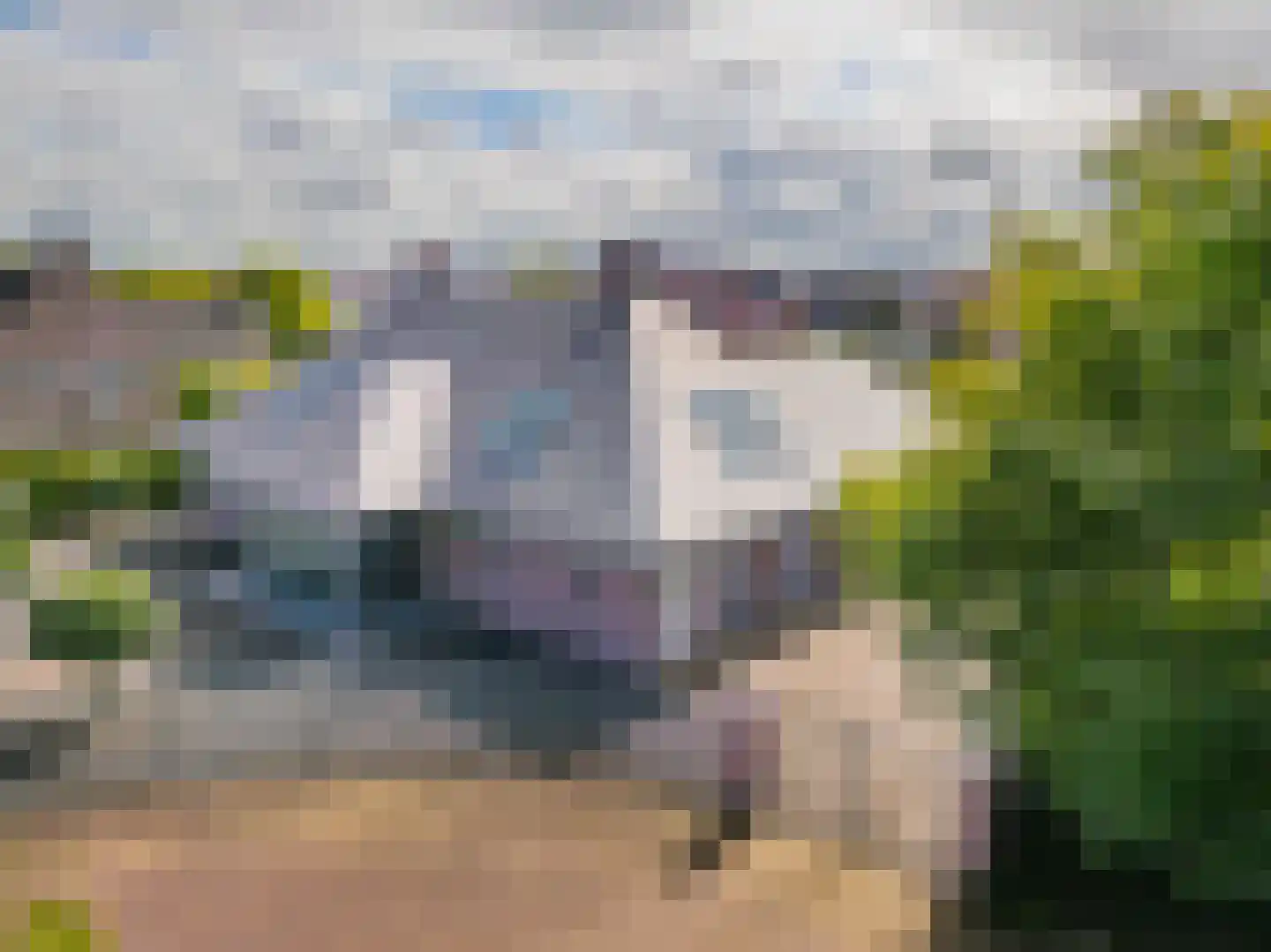 Hofvennepark 2 Noordwijk thumbnail 5