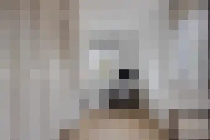 Hofvijver 104 Oss thumbnail 17