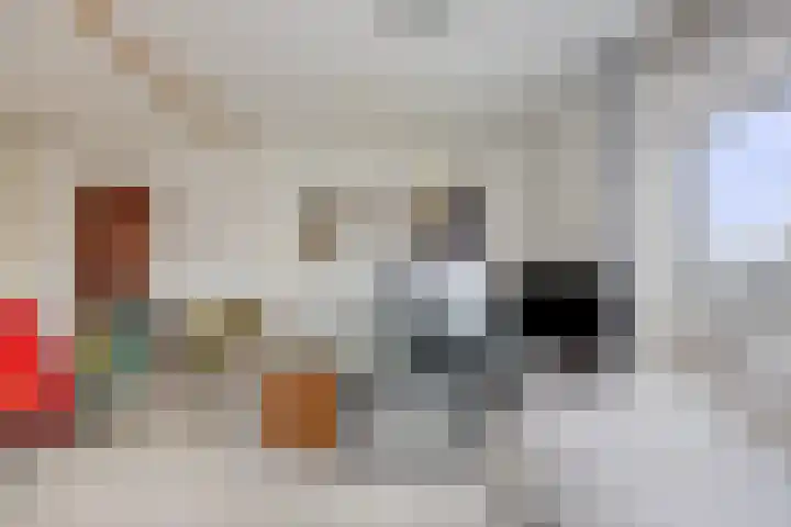 Hofvijver 104 Oss thumbnail 22
