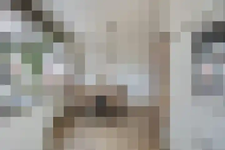 Hofvijver 104 Oss thumbnail 7