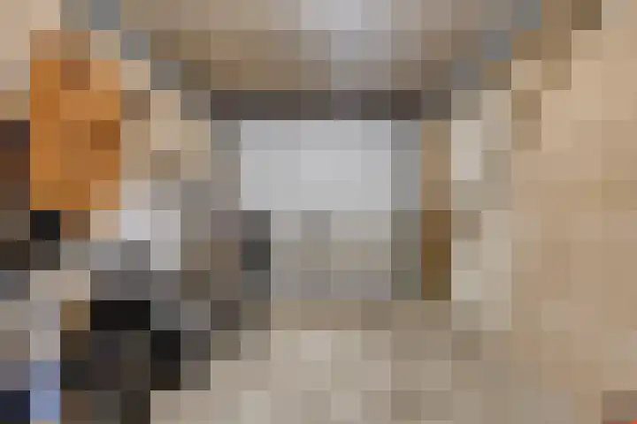 Hofvijver 11 Oss thumbnail 26