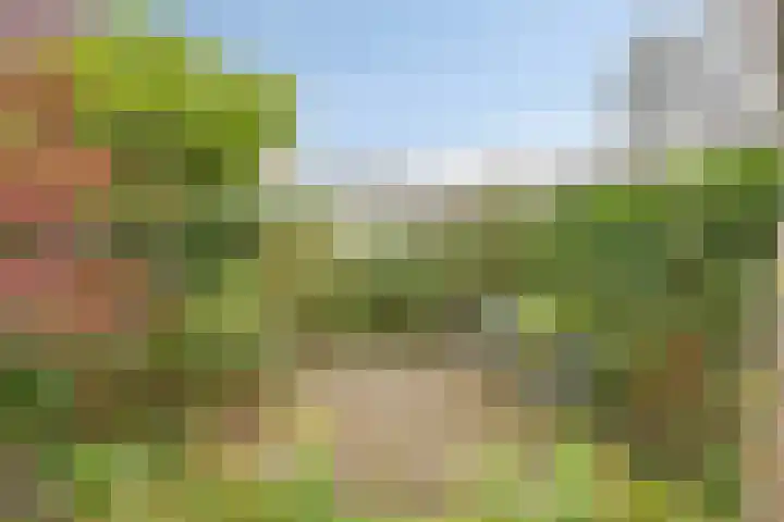 Hofvijver 11 Oss thumbnail 28