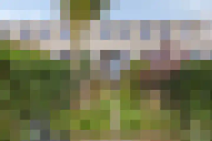 Hofvijver 11 Oss thumbnail 29