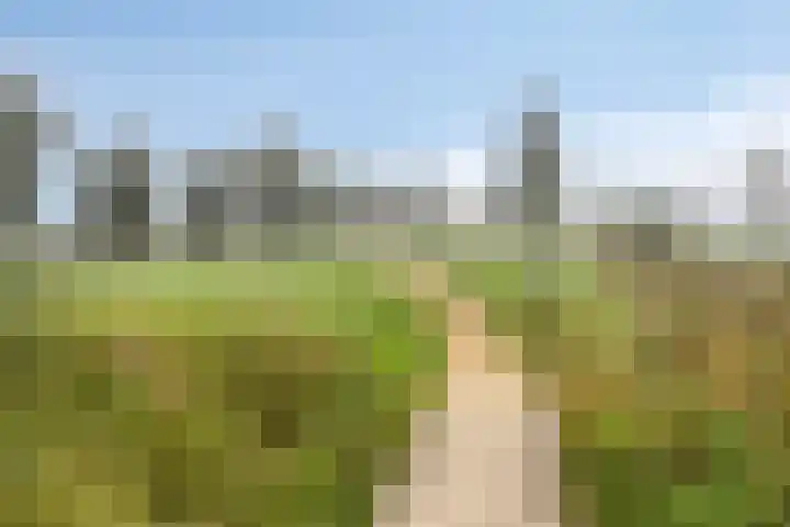 Hofvijver 11 Oss thumbnail 33