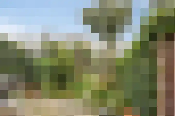 Hofvijver 11 Oss thumbnail 4
