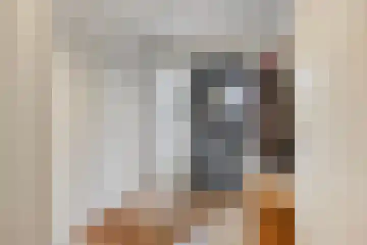 Hofvijver 11 Oss thumbnail 7