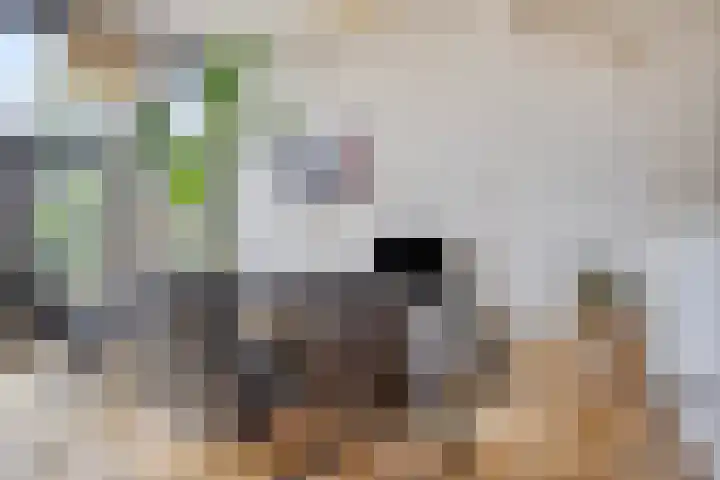 Hofvijver 11 Oss thumbnail 9