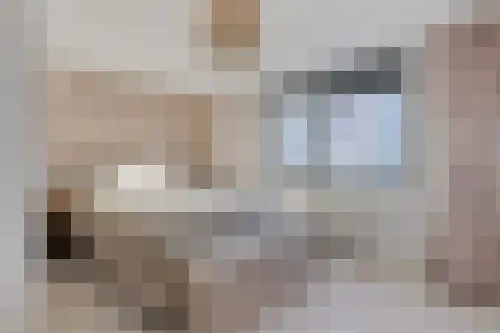 Hofvijver 124 Oss thumbnail 12