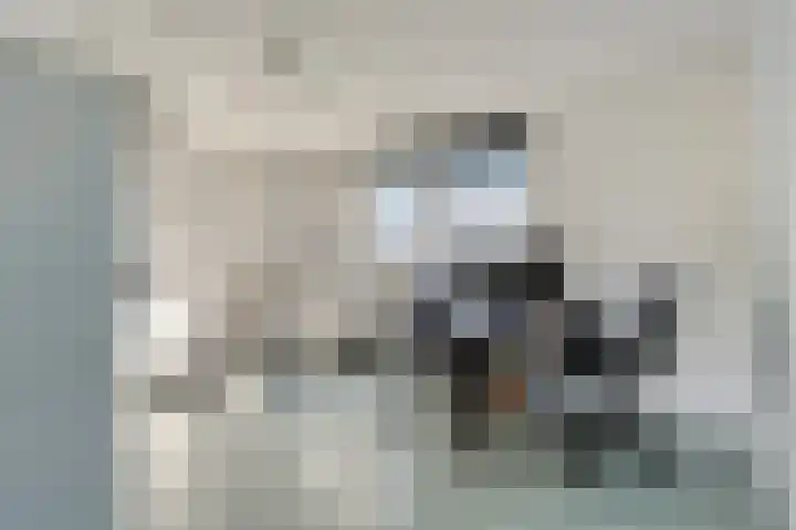 Hofvijver 124 Oss thumbnail 19