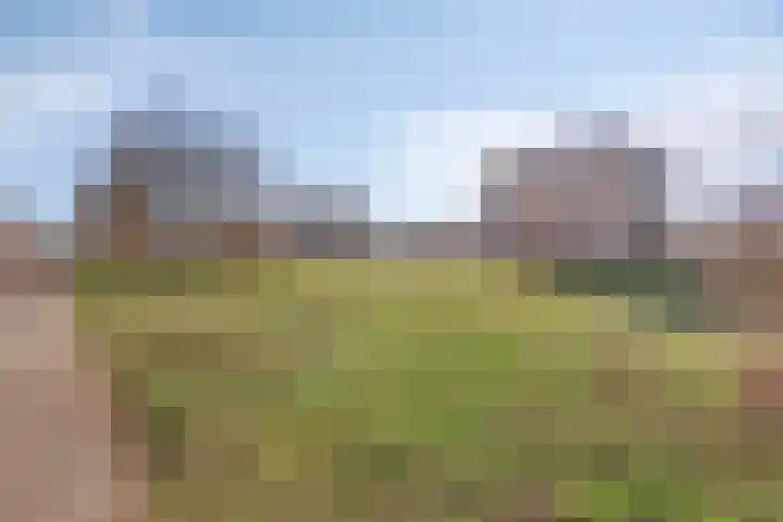 Hofvijver 124 Oss thumbnail 29