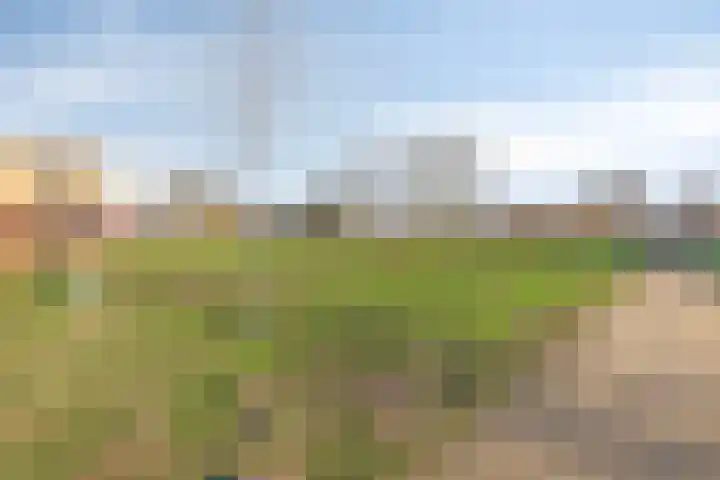 Hofvijver 124 Oss thumbnail 30