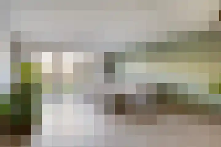 Hofvijver 124 Oss thumbnail 4