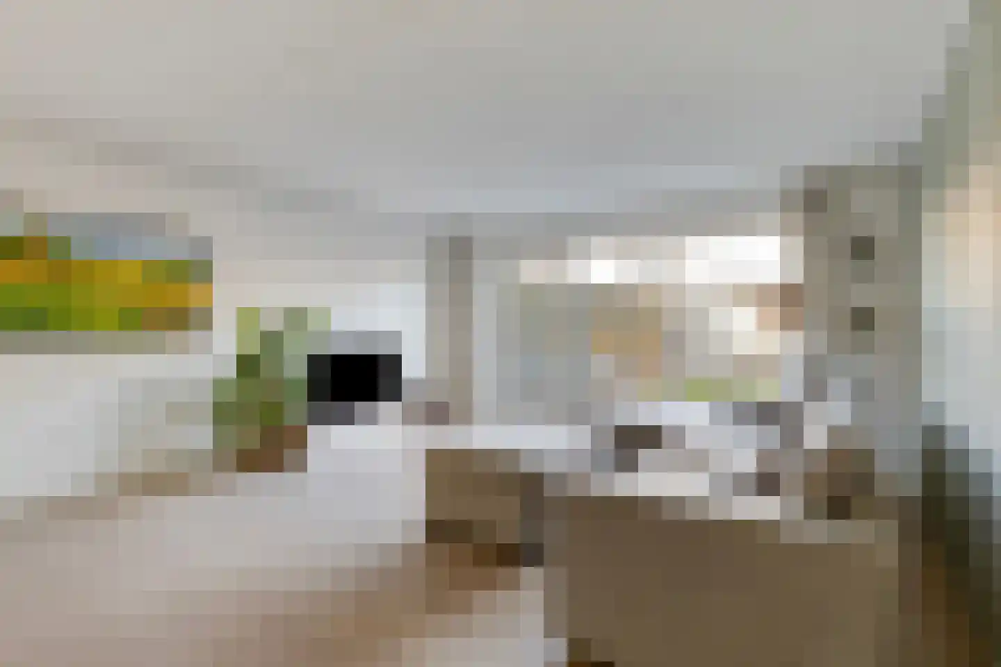 Hofvijver 124 Oss thumbnail 5