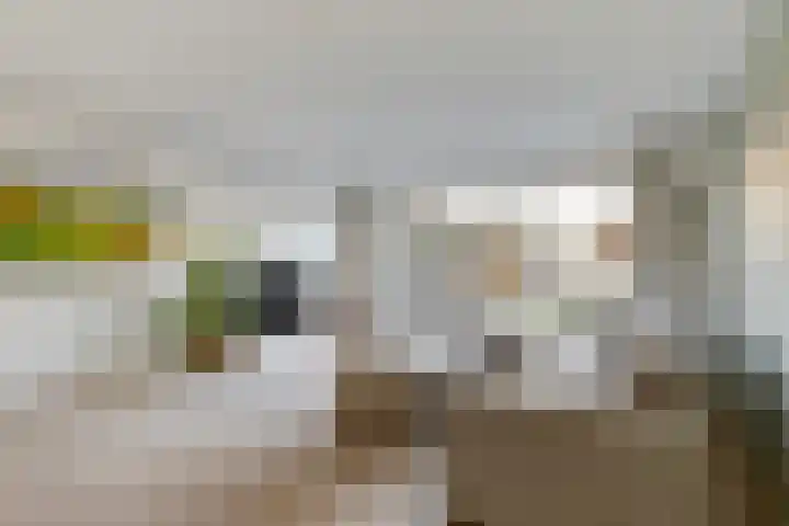 Hofvijver 124 Oss thumbnail 5