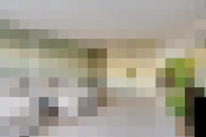 Hofvijver 124 Oss thumbnail 6