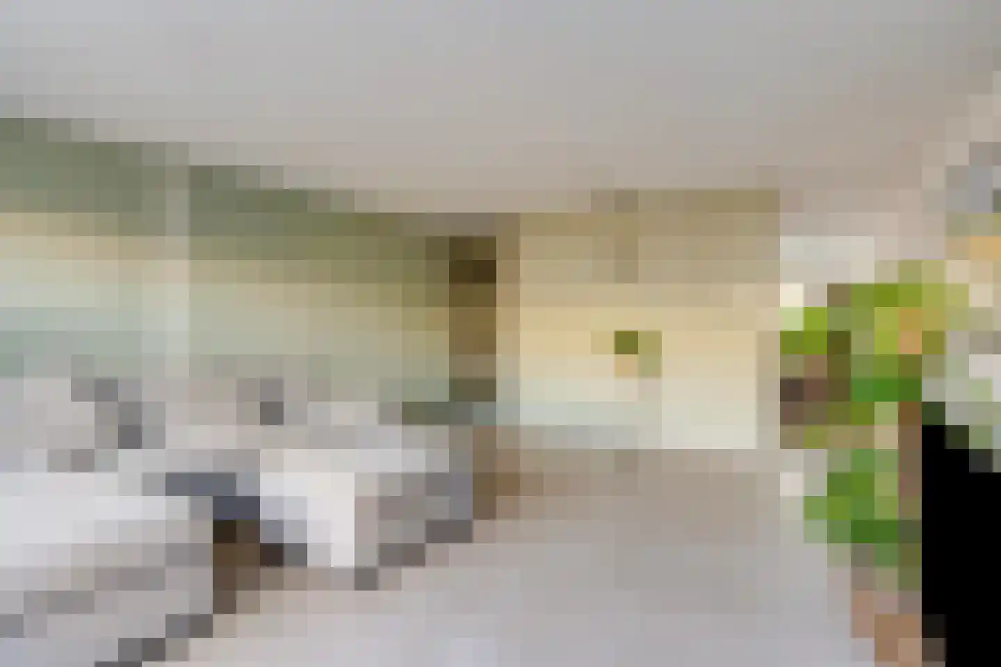 Hofvijver 124 Oss thumbnail 6