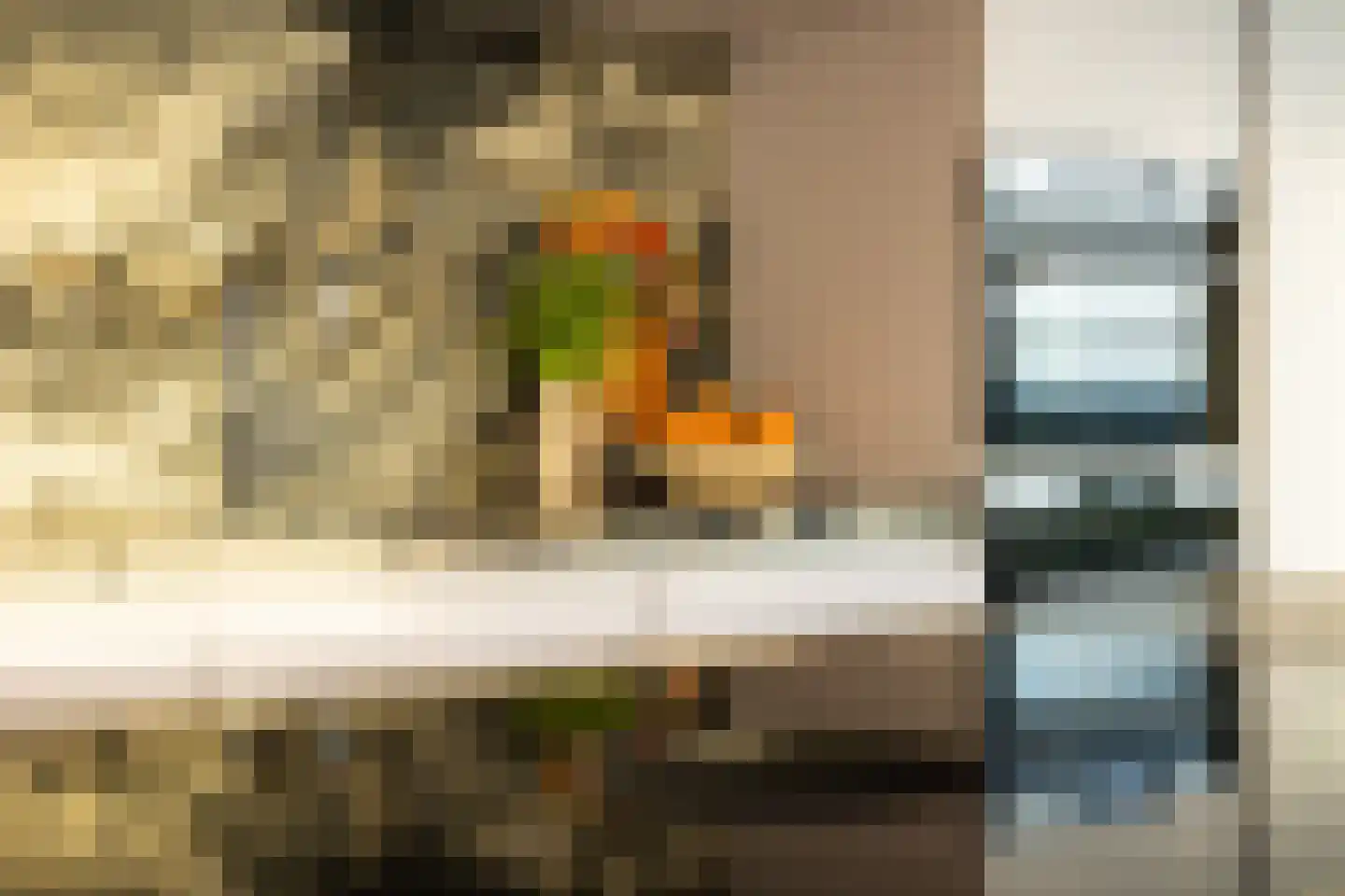 Hofvijver 173 's-Hertogenbosch thumbnail 13