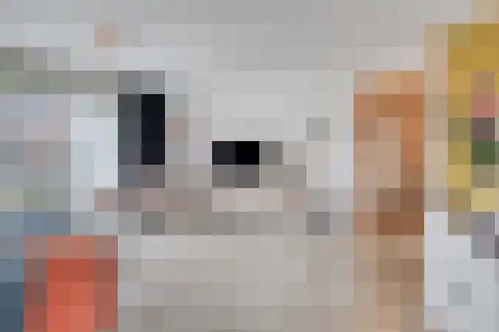 Hofvijver 29 's-Hertogenbosch thumbnail 14