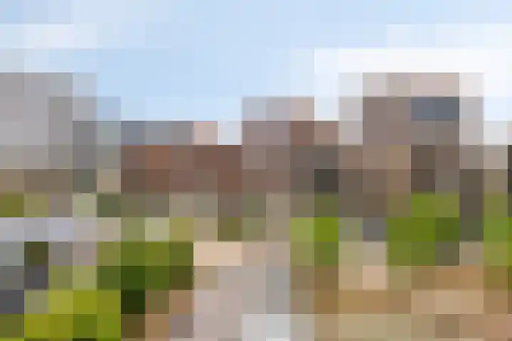 Hofvijver 29 's-Hertogenbosch thumbnail 30