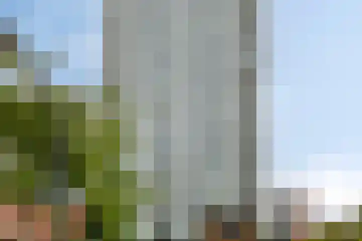 Hofvijver 29 's-Hertogenbosch thumbnail 34