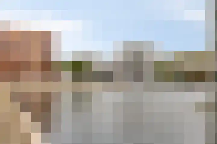 Hofvijver 29 's-Hertogenbosch thumbnail 36