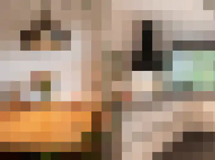 Hofvijver 54 Oss thumbnail 11
