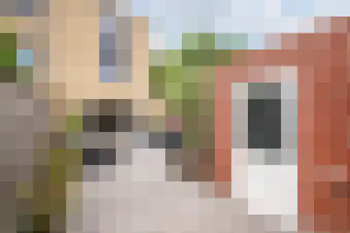 Hofvijver 54 Oss thumbnail 21