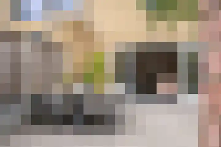 Hofvijver 54 Oss thumbnail 22