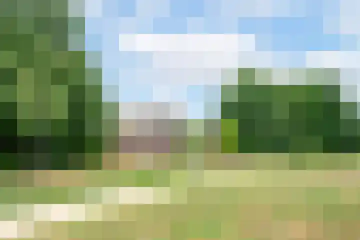 Hofvijver 54 Oss thumbnail 28