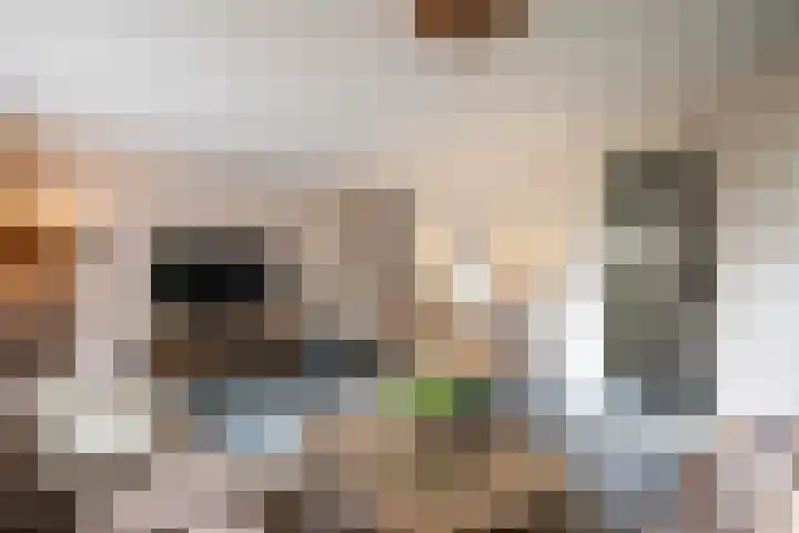 Hofvijver 54 Oss thumbnail 9