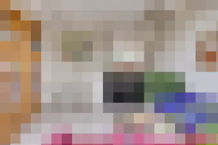 Hofvijver 69 Oss thumbnail 12