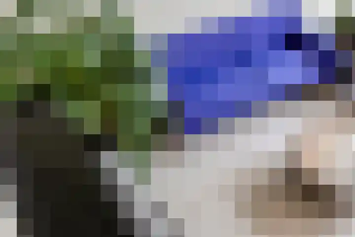 Hofvijver 69 Oss thumbnail 13