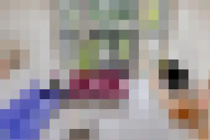 Hofvijver 69 Oss thumbnail 14