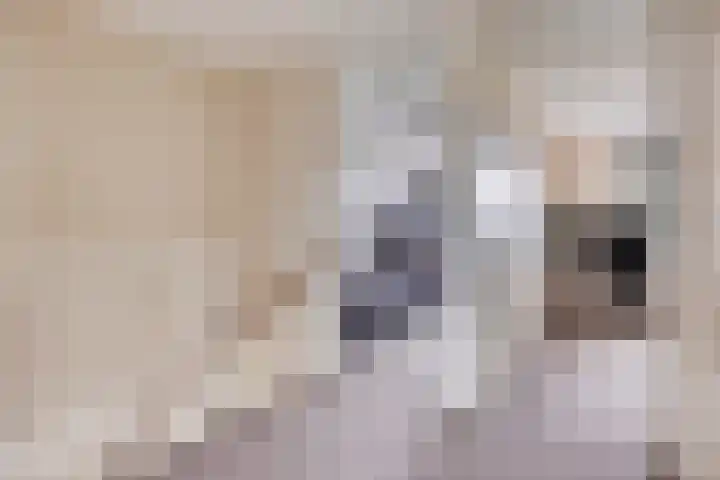 Hofvijver 69 Oss thumbnail 27