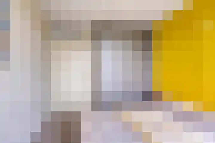 Hofvijver 69 Oss thumbnail 31