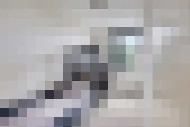 Hofvijver 69 Oss thumbnail 33