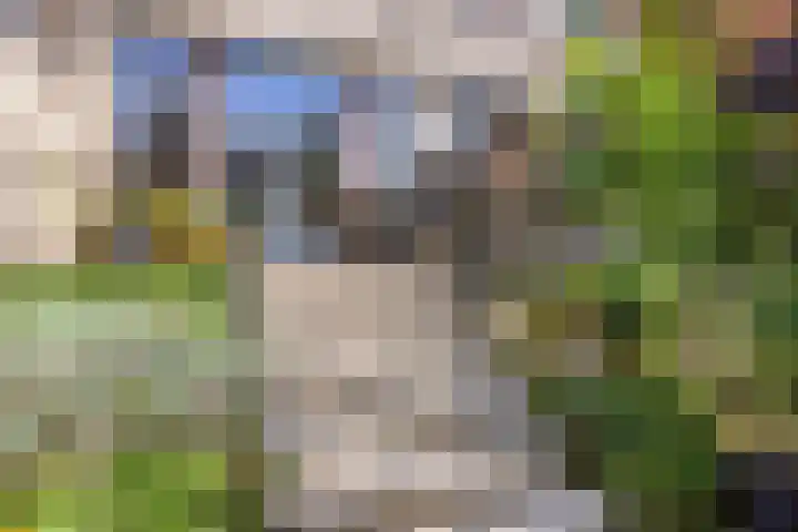 Hofvijver 69 Oss thumbnail 38