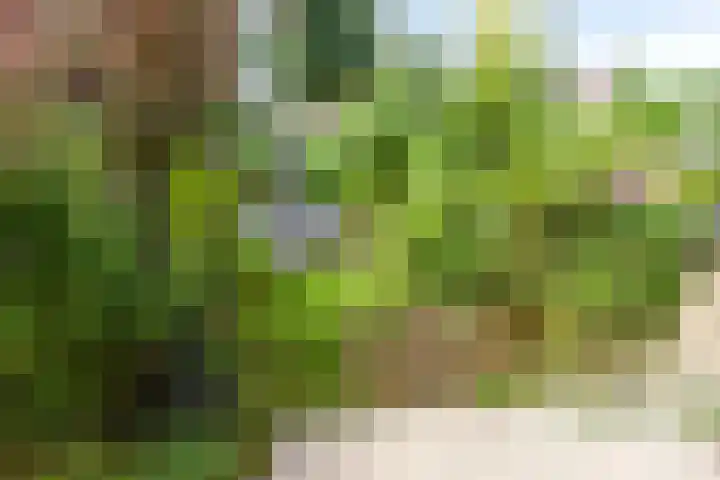 Hofvijver 69 Oss thumbnail 40