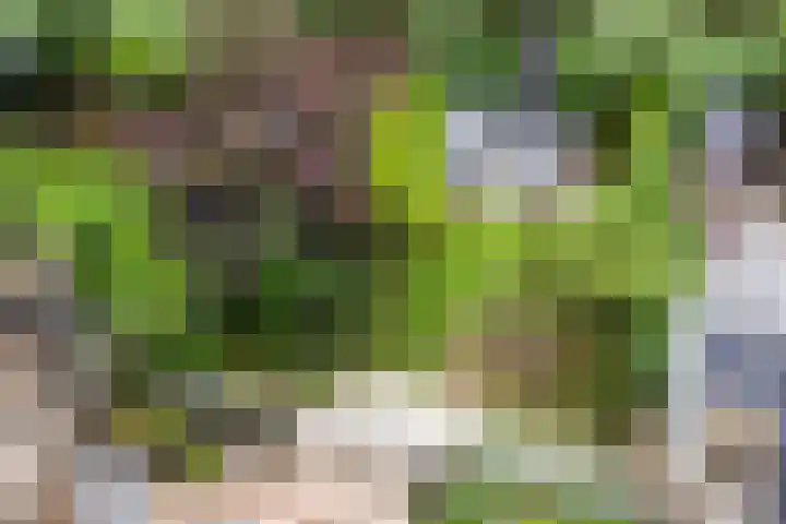 Hofvijver 69 Oss thumbnail 41
