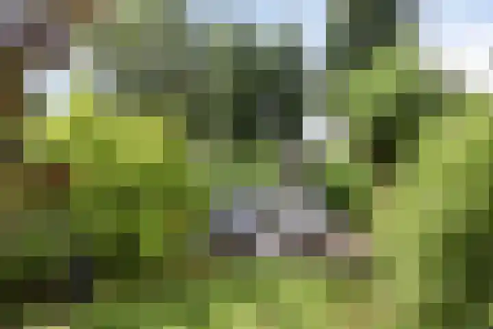 Hofvijver 69 Oss thumbnail 42