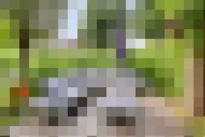 Hofvijver 69 Oss thumbnail 43