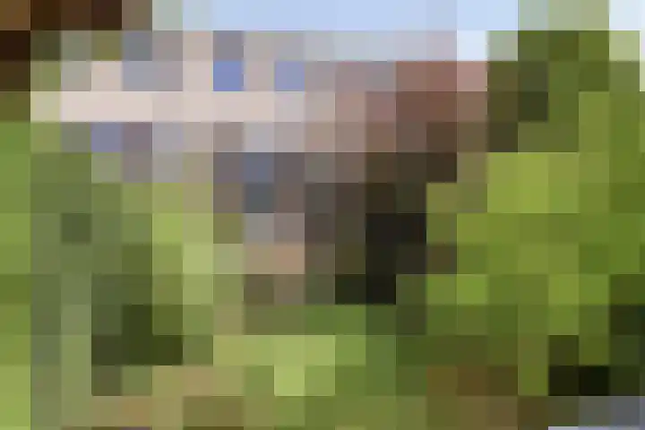 Hofvijver 69 Oss thumbnail 44