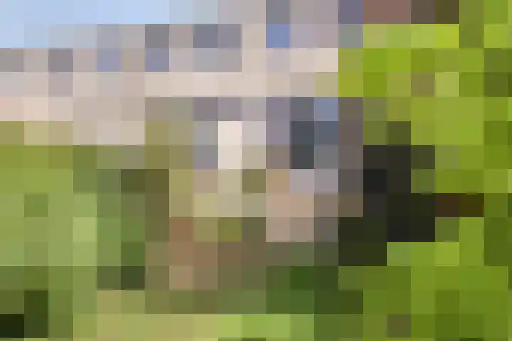 Hofvijver 69 Oss thumbnail 45
