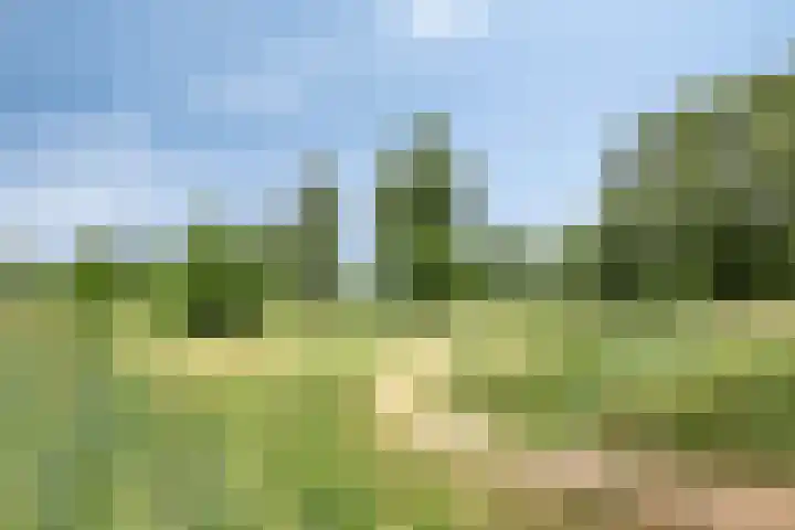 Hofvijver 69 Oss thumbnail 46