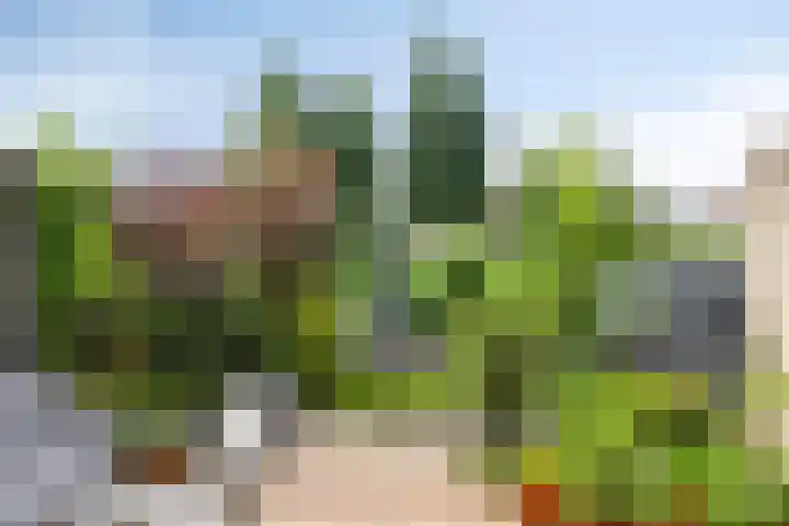 Hofvijver 69 Oss thumbnail 5