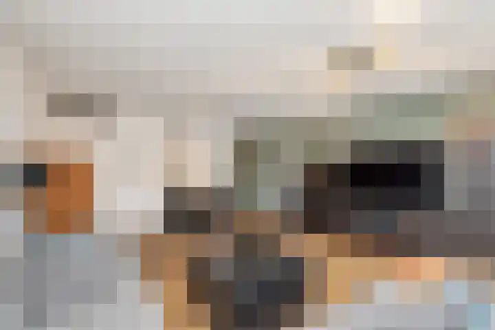Hofvijver 92 Oss thumbnail 12