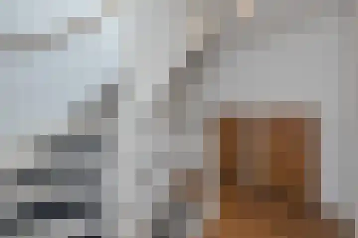 Hofvijver 92 Oss thumbnail 20