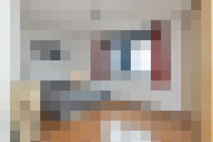 Hofvijver 92 Oss thumbnail 28
